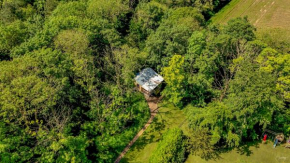 Deer View Cabin - Woodland, beaches and Hot tub